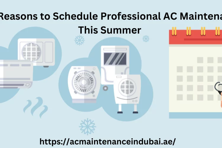 Top Reasons to Schedule Professional AC Maintenance This Summer